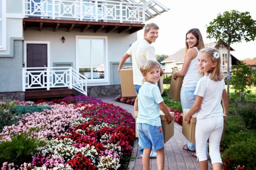 Visual: formal investigation and review